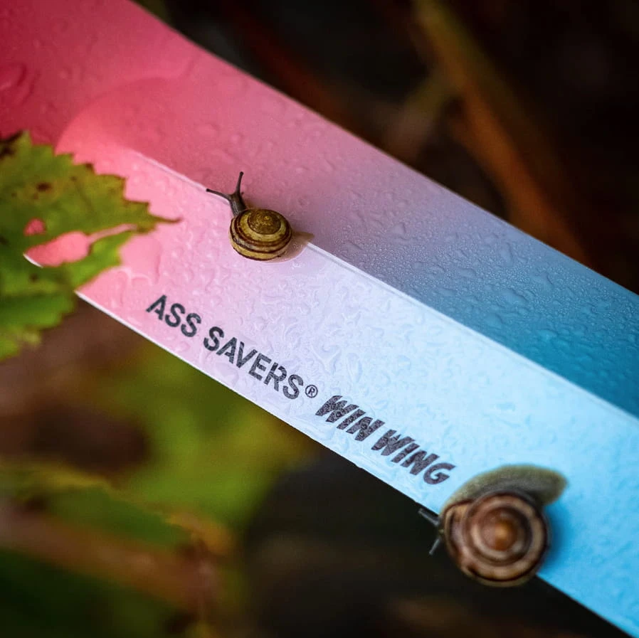 Ass-savers WRS-1 Win Wing Road - Spektrum 3 Ass-savers WRS-1 Win Wing Road - Spektrum – Bild 3