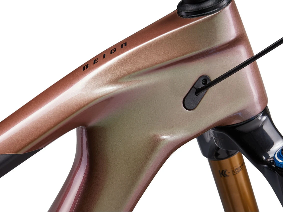 Giant Reign Advanced Pro 0 - Messier/Carbon 8 Giant Reign Advanced Pro 0 - Messier/Carbon – Bild 8